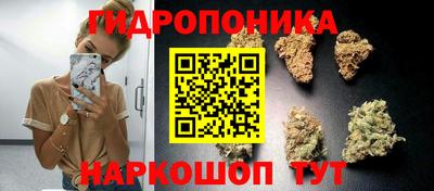спиды Пугачёв