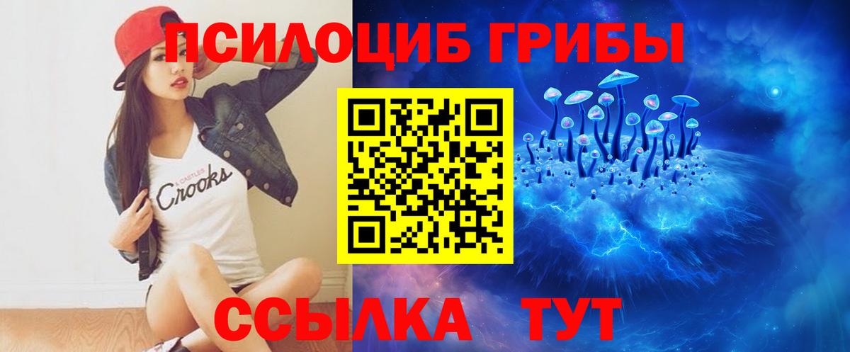 Псилоцибиновые грибы Psilocybine cubensis  купить  цена  Подольск  Вход с VPN 